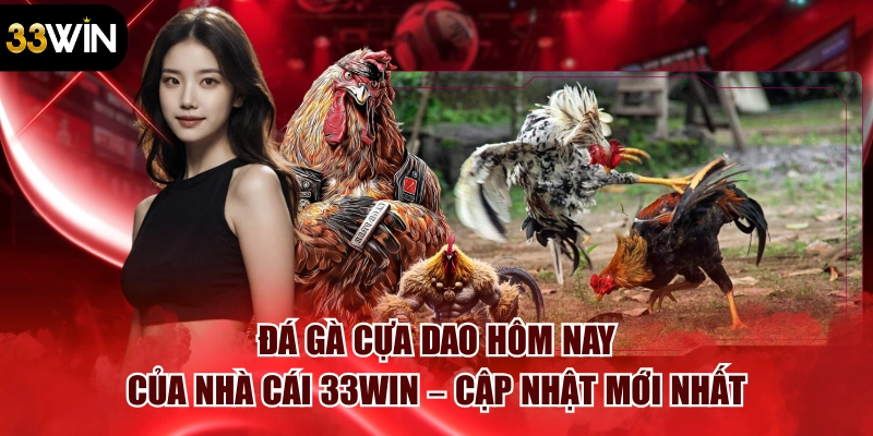 Đá Gà Cựa Dao Hôm Nay Của Nhà Cái 33win – Cập Nhật Mới Nhất